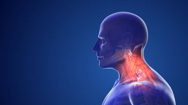 Orthopedic Trauma Surgery