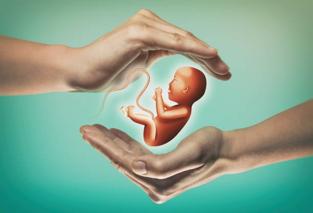 In Vitro Fertilization (IVF)